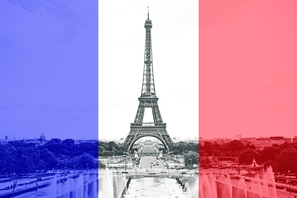 Paris Eiffel Tower French Flag NEW